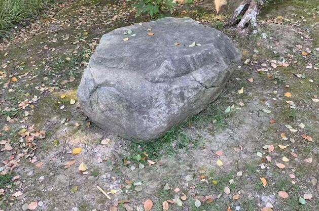 ǾĹЧǾĹЧͽ